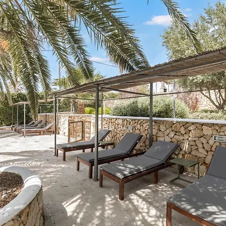 Linda * 蓬塔普里马